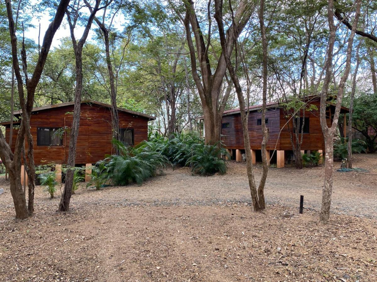 ברזיליטו Casa Natural מראה חיצוני תמונה