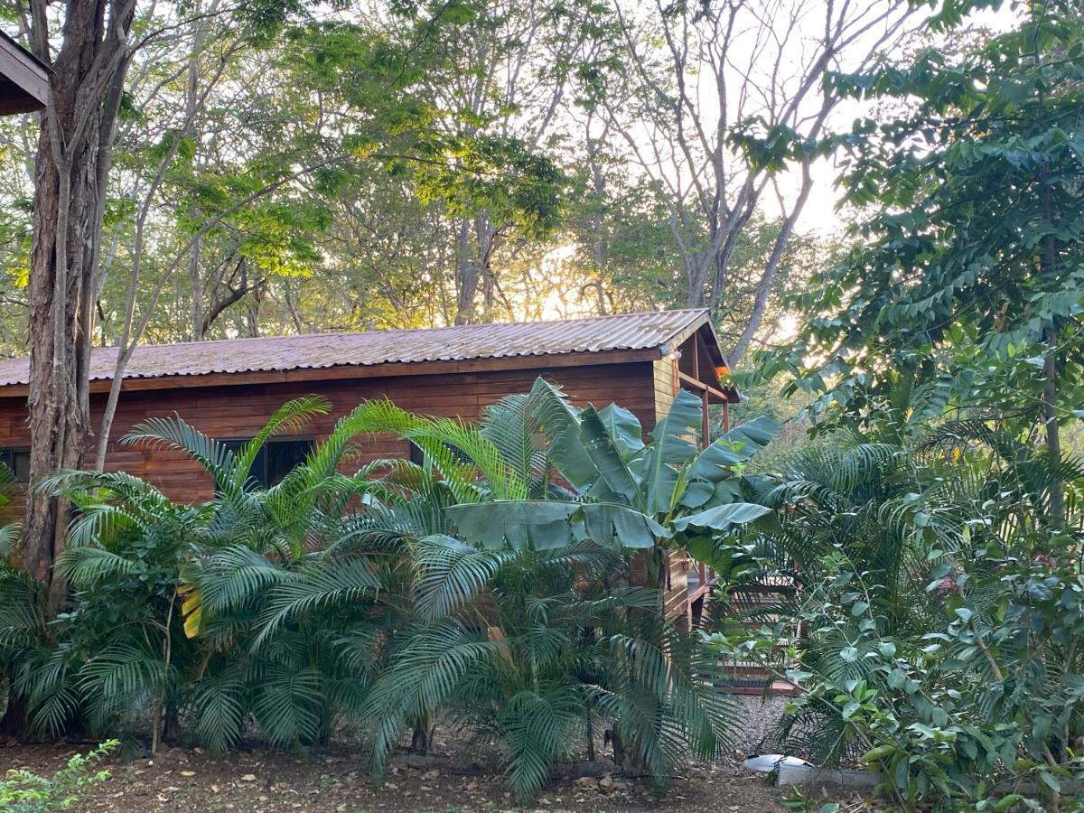 ברזיליטו Casa Natural מראה חיצוני תמונה
