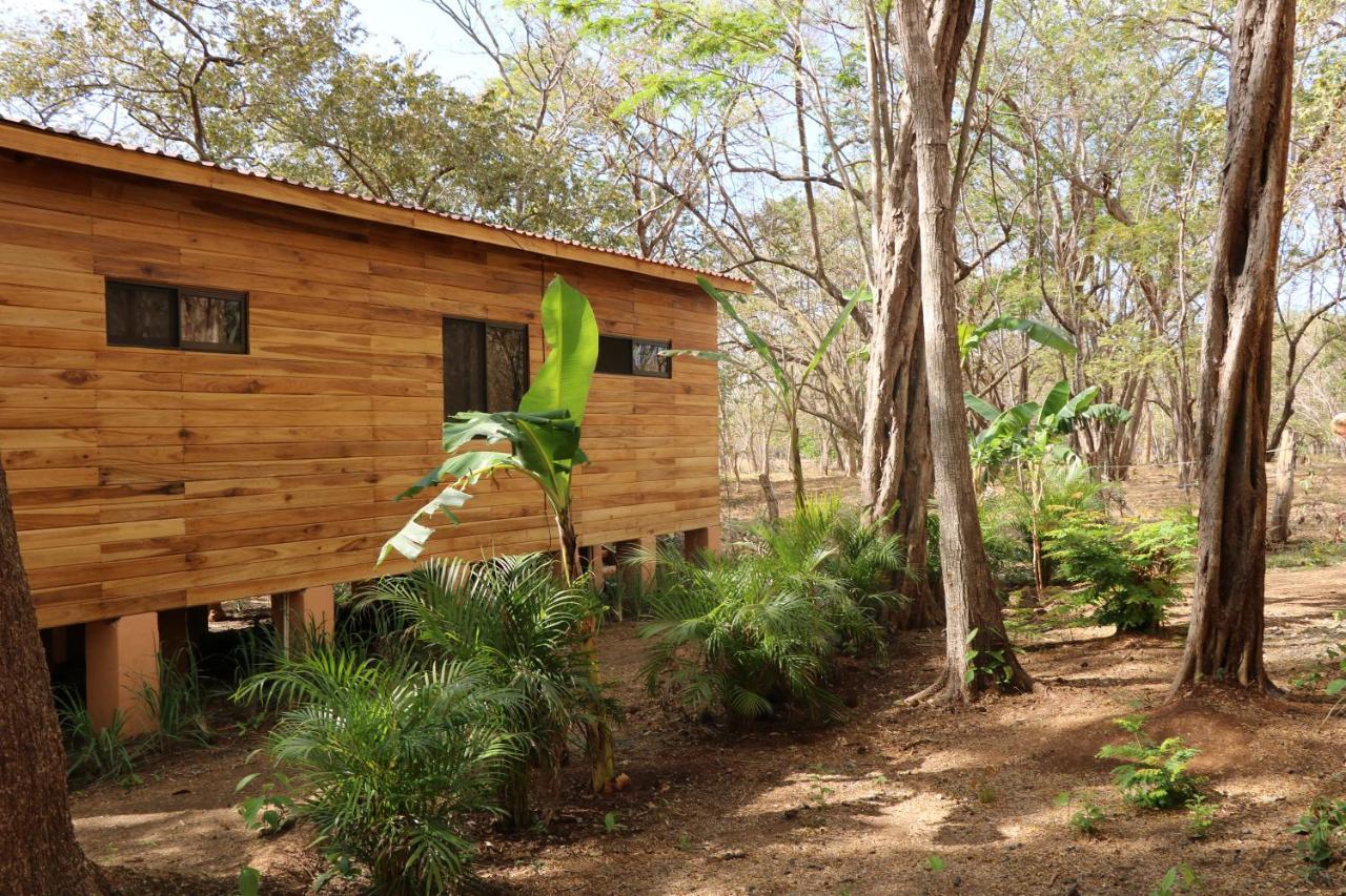 ברזיליטו Casa Natural מראה חיצוני תמונה